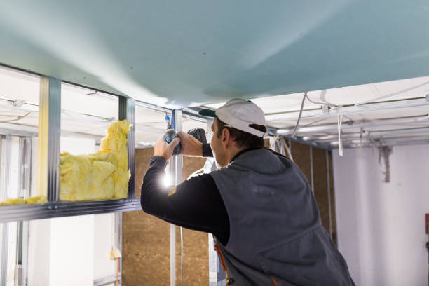 Types of Insulation We Offer in Lincolnwood, IL